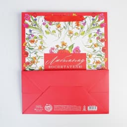 Пакет подарочный ламинированный, упаковка, «Любимому воспитателю», ML 27×23×11.5 см