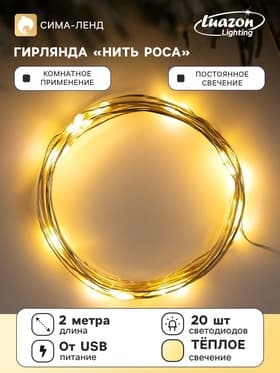 Гирлянда «Нить» 2 м роса, IP20, серебристая нить, 20 LED, свечение тёплое белое, USB