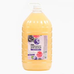 Кондиционер для белья Rain «Лесные ягоды», 5 л