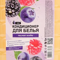 Кондиционер для белья Rain «Лесные ягоды», 5 л