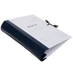 Папка архивная д/переплета А4, на завязках, Calligrata «Форма 21» 100 мм, с гребешками, 4 отв-я