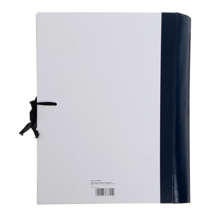 Папка архивная д/переплета А4, на завязках, Calligrata «Форма 21» 100 мм, с гребешками, 4 отв-я