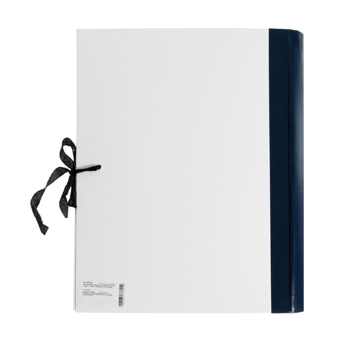 Папка архивная д/переплета А4, на завязках, Calligrata «Форма 21» 100 мм, с гребешками, 4 отв-я