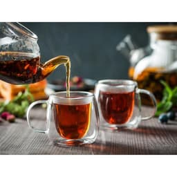 Кружка с двойными стенками Magistro «Дуо», 80 мл, 9×7×6.3 см, стекло, прозрачная