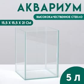 Отсадник односекционный 5 литров, 15.5×15.5×21 см