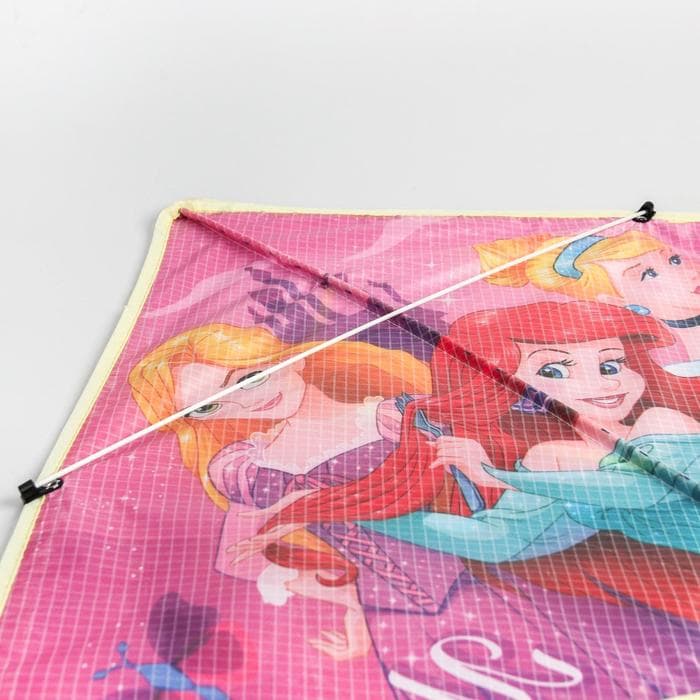 Воздушный змей «Мечтай», Принцессы, 70×105 см