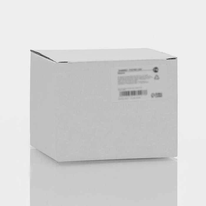 Кружка с двойными стенками Magistro «Дуо. Тропики», 160 мл, 12.5×9×7.5 см, стекло, прозрачная