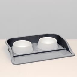 Миски с лотком «Феликс», 300 мл, 41×30×6 см, пластик, серый лоток, белые миски