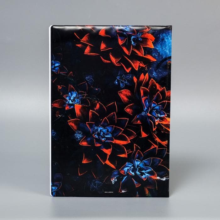 Папка для семейных документов Docs, 8 файлов А4