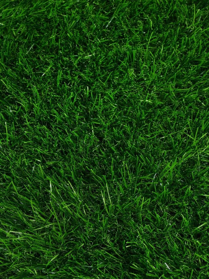 Газон искусственный, для спорта, ворс 40 мм, 2×10 м, зелёный, Greengo