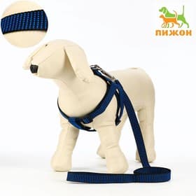 Комплект амуниции рельефный, поводок 120×2 см, ОГ 44-50 см, сине-чёрный