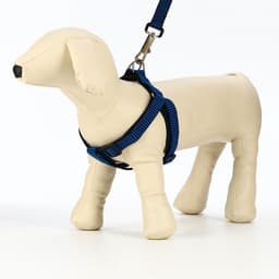 Комплект амуниции рельефный, поводок 120×2 см, ОГ 44-50 см, сине-чёрный