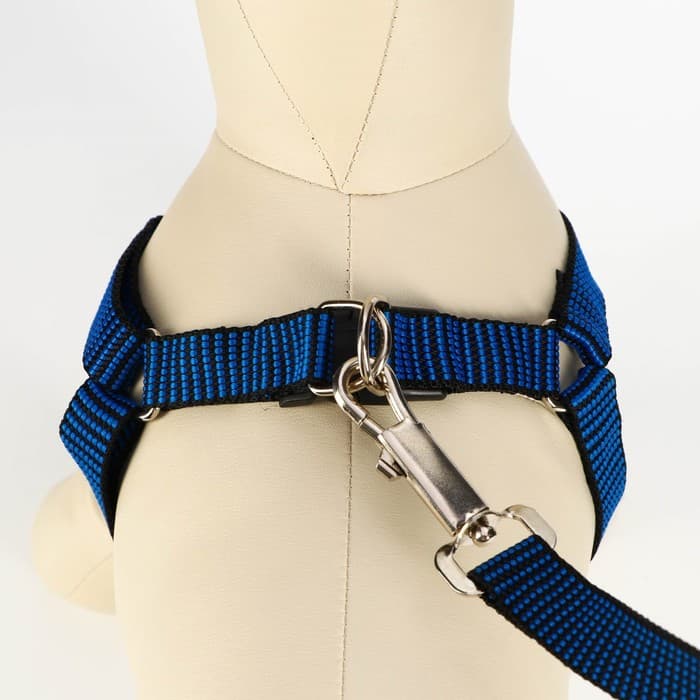 Комплект амуниции рельефный, поводок 120×2 см, ОГ 44-50 см, сине-чёрный