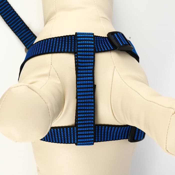 Комплект амуниции рельефный, поводок 120×2 см, ОГ 44-50 см, сине-чёрный