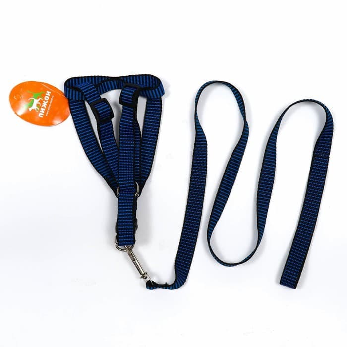 Комплект амуниции рельефный, поводок 120×2 см, ОГ 44-50 см, сине-чёрный