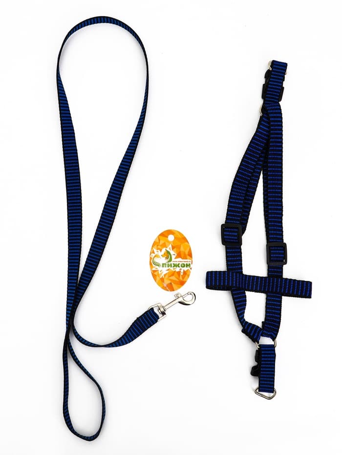 Комплект амуниции рельефный, поводок 120×2 см, ОГ 44-50 см, сине-чёрный