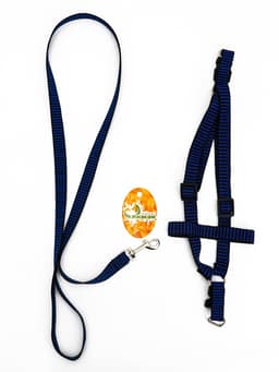 Комплект амуниции рельефный, поводок 120×2 см, ОГ 44-50 см, сине-чёрный