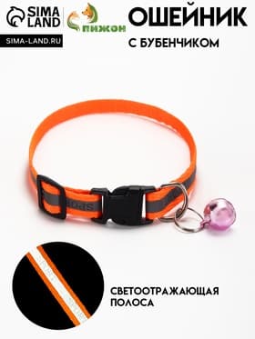 Ошейник «Спорт», 31×1 см, со светоотражающей полосой, оранжевый