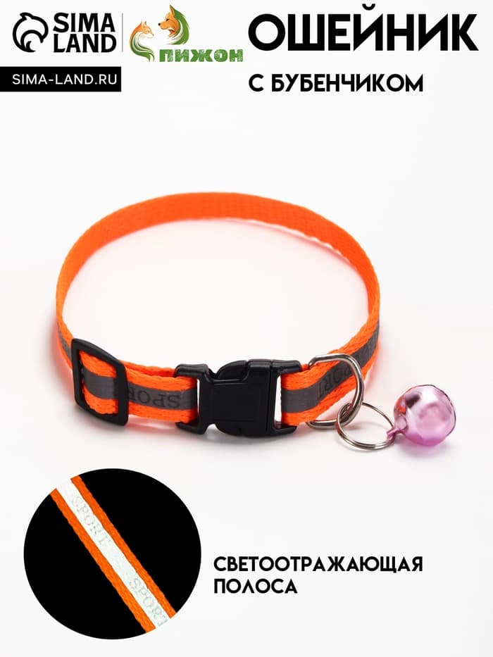 Ошейник «Спорт», 31×1 см, со светоотражающей полосой, оранжевый
