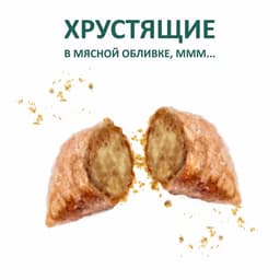 Подушечки глазированные TitBit «Золотая коллекция» для собак, с начинкой из индейки, 100 г