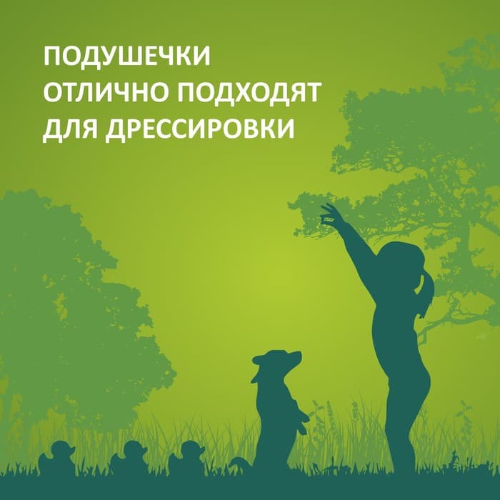 Подушечки глазированные TitBit «Золотая коллекция» для собак, с начинкой из индейки, 100 г