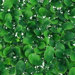 Декоративная панель, 60×40 см, «Мокрица», Greengo