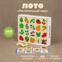 Лото «Растительный мир»