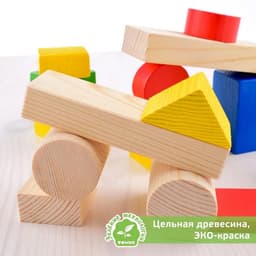 Конструктор деревянный «Цветной» 43 детали