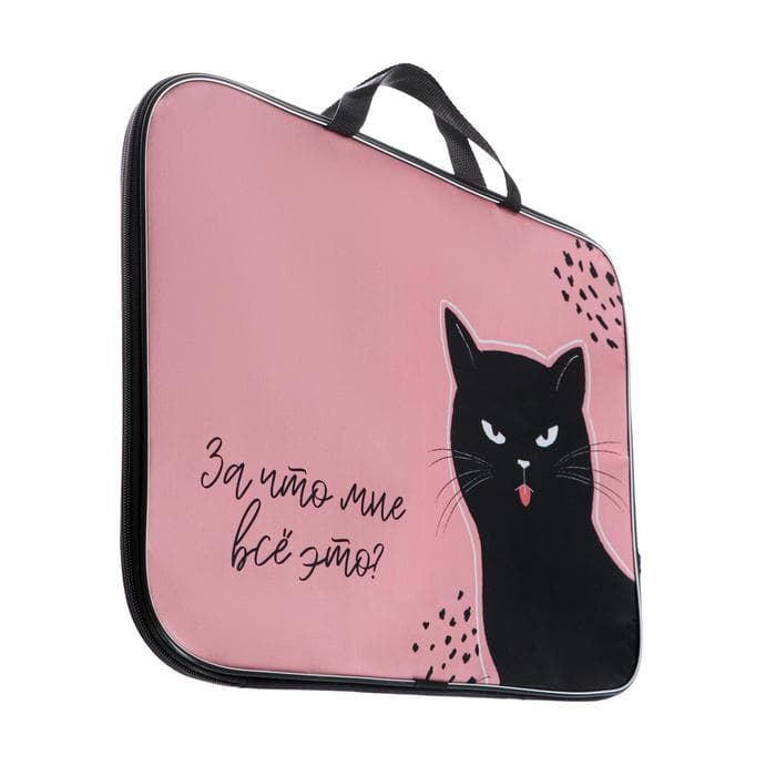 Папка с ручками, А3, текстильная, 47×35×2 см «Котик»