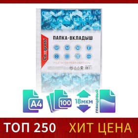 Файл - вкладыш Calligrata, А4, глянцевый, вертикальный, 100 штук, эконом