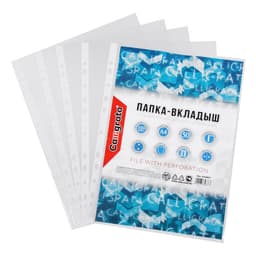 Файл - вкладыш Calligrata, А4, глянцевый, вертикальный, 100 штук, эконом
