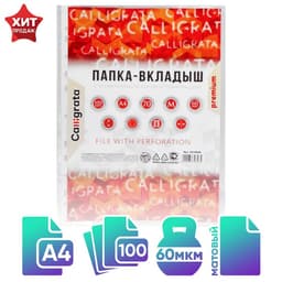 Файл - вкладыш Calligrata, А4, 60 мкм, плотные, матовый, вертикальный, 100 штук