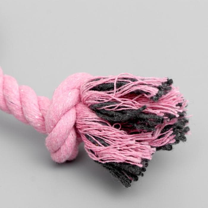 Мягкая игрушка для собак «Зайка с канатом», 18 см, с пищалкой, розовая