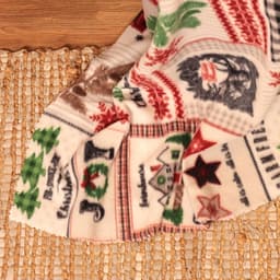 Плед флисовый новогодний «Экономь и Я. Рождество» 150×130 см