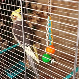 Игрушка для птиц «Погремушка», пластик, цвет МИКС