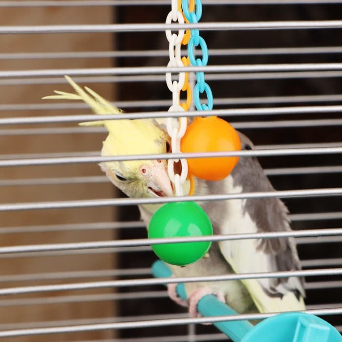 Игрушка для птиц «Погремушка», пластик, цвет МИКС