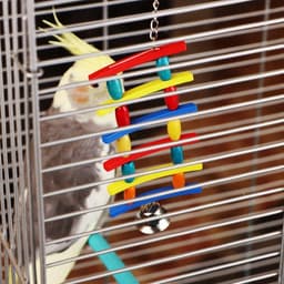 Игрушка для птиц «Лесенка», цвет МИКС