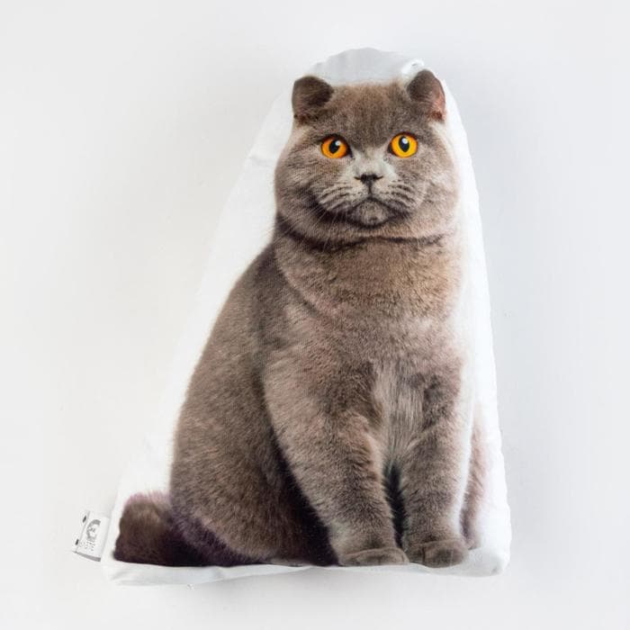 Подушка декоративная «Этель. Кот» 33×40 см, велюр