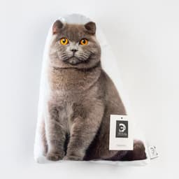 Подушка декоративная «Этель. Кот» 33×40 см, велюр