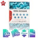 Файл - вкладыш Calligrata, А4, 22-25 мкм, глянцевый, вертикальный, 100 штук