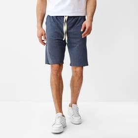 Шорты мужские MINAKU: Casual collection MAN, размер 48, цвет индиго меланж