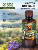 Настой для бани целебный Laboratory Katrin с эфирным маслом мяты, экстрактами лаванды и можжевельника, 250 мл