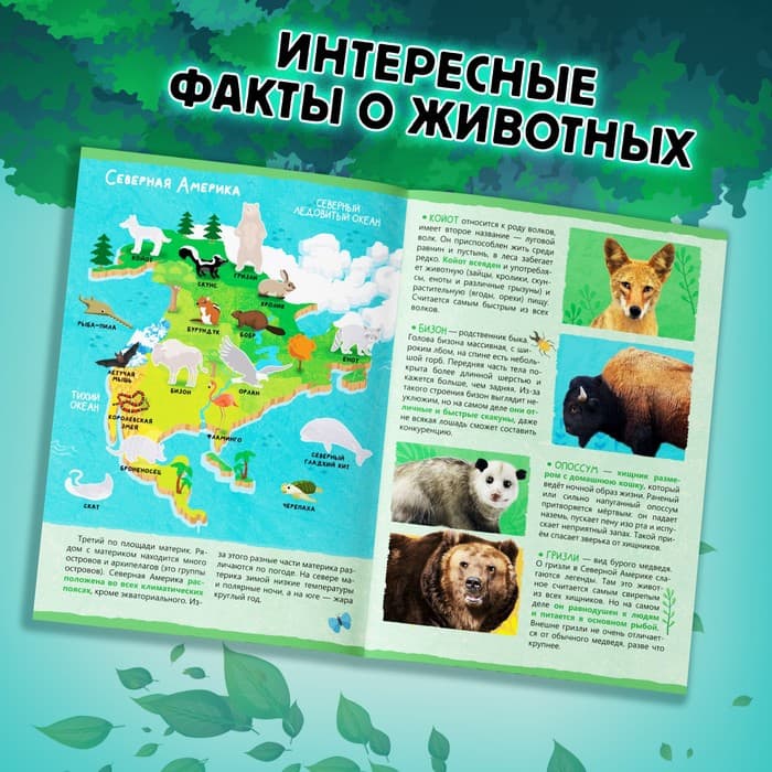 Мини - энциклопедия и пазл «Животные нашей планеты», обучающий набор, 88 элементов