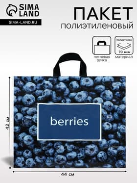 Пакет «Черника», полиэтиленовый с петлевой ручкой, 44×42 см, 70 мкм