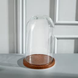 Стеклянный купол - клош на деревянной подставке «Венсан», 25×15 см, коричневый