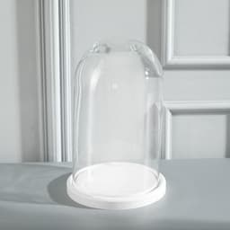 Стеклянный купол - клош на деревянной подставке «Венсан», 25×15 см, белый