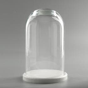 Стеклянный купол - клош на деревянной подставке «Венсан», 25×15 см, белый