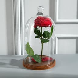 Стеклянный купол - клош с шариком на подставке «Родрик», 29×15 см, коричневый