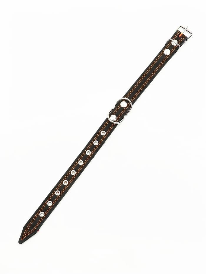 Ошейник кожаный усиленный капроном с полукольцом, 55×2.5 см, ОШ 27-53 см, чёрный