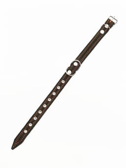 Ошейник кожаный усиленный капроном с полукольцом, 55×2.5 см, ОШ 27-53 см, чёрный